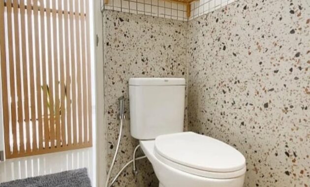 cara merawat toilet