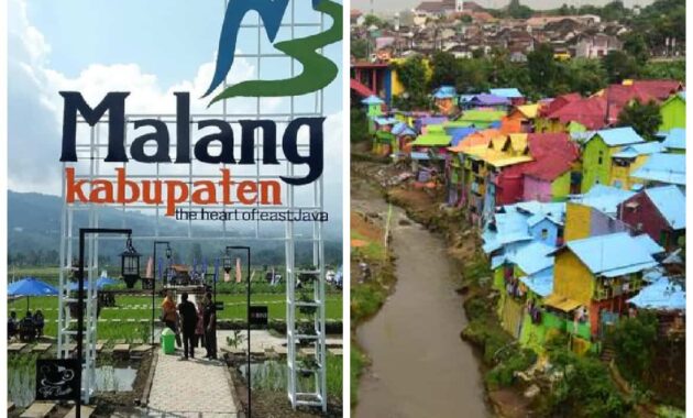 sedot wc malang