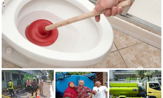 sedot wc gresik