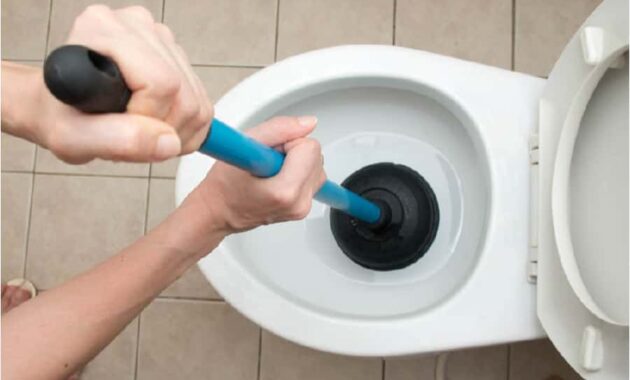 Perbedaan Septic Tank Penuh dan tersumbat