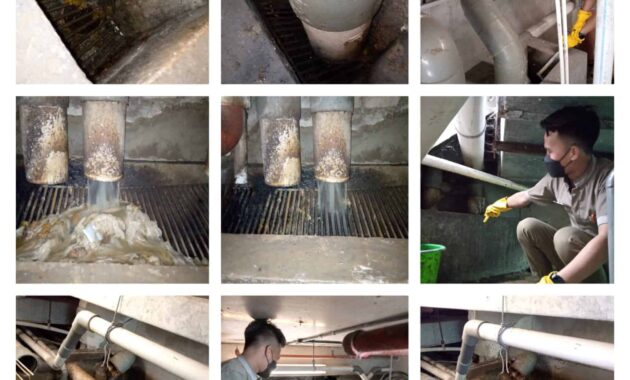 tukang sedot wc profesional