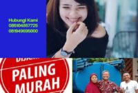 Sedot WC Deket Lamongan Sedot WC Deket Lamongan