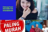 Sedot WC Demak Sedot WC Demak
